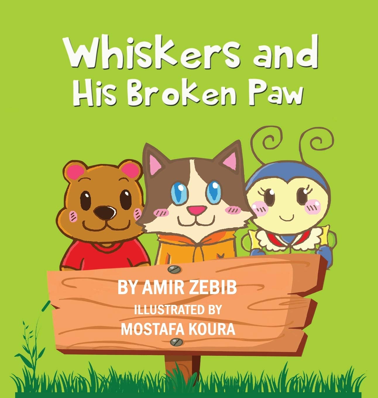 Whiskers and His Broken Paw by Amir Zebib whiskers and his broken paw story book for children