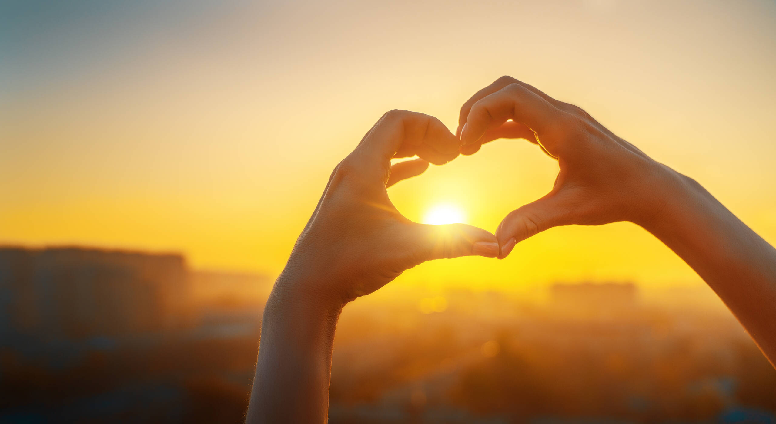 Bassam Foundation nonprofit organization love peace compassion hearts